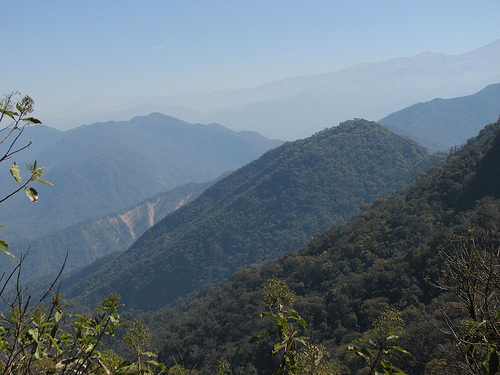 View of mountains in Calilegua National Park